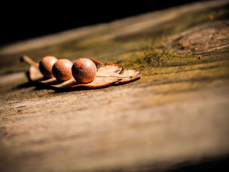 Discord账号注册<br>2026最新过验证注册完整教程